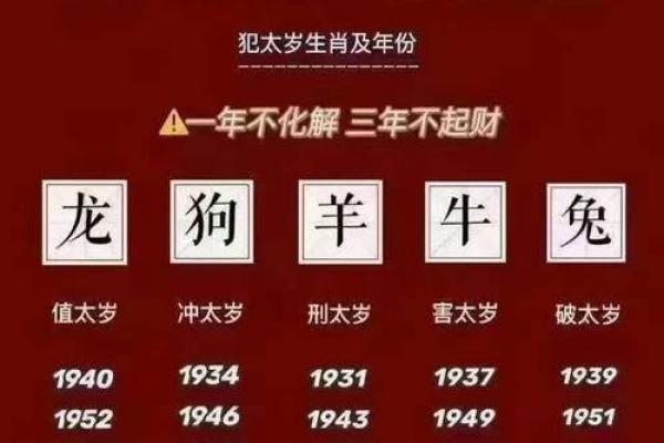 揭秘：2024年生肖虎出生宝宝的命运与人生轨迹