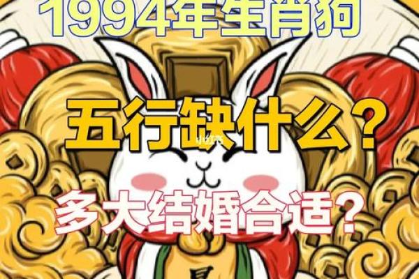 2016年属狗命格解析：解读你的性格与未来发展