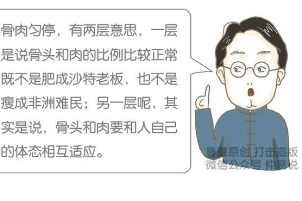 揭秘老鼠命运：从性格到运势的全面分析与理解