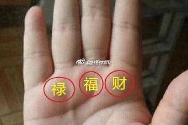 方形手女人的命运：揭开手相与人生之间的神秘联系