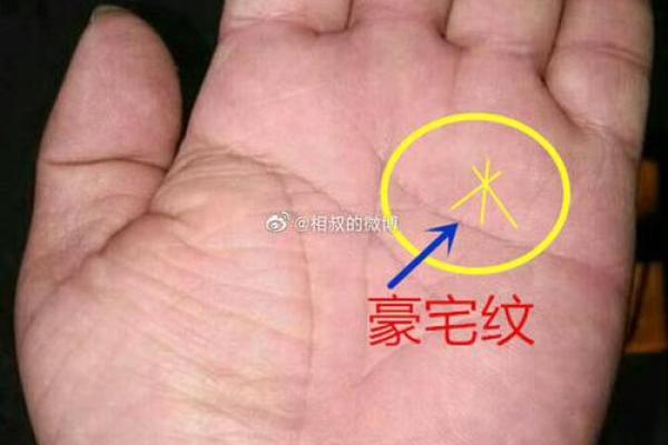 揭秘手纹：多指人群的命格解析与人生轨迹