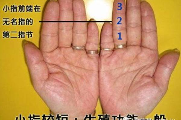 84年男命解析：命运、性格与人生方向的深度剖析