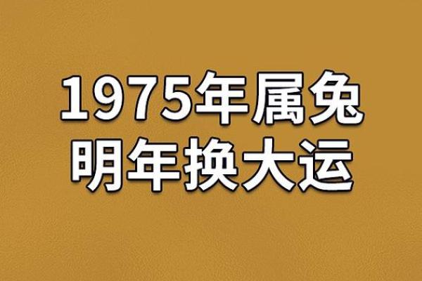 1999年兔年出生者的命运分析与性格特征