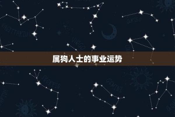 1970年出生的属狗人：命运、性格与运势解析