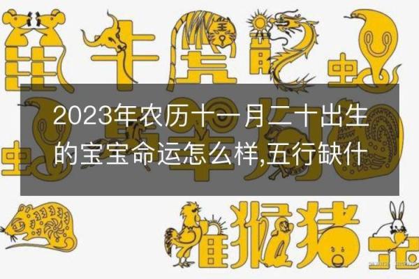 2022年出生宝宝的命运解析：从五行看孩子的未来发展