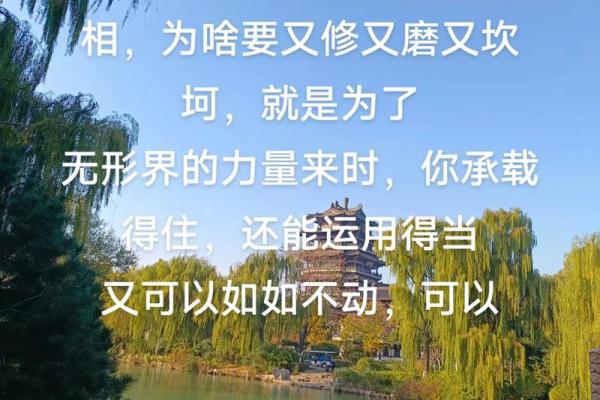 信佛与信命的分歧：追寻内心的真正力量