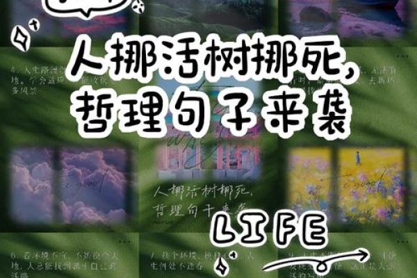 命里头太多的深层含义与人生哲学探讨