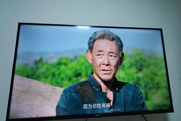 1955年属于什么命人：探寻他们的独特魅力与人生之路