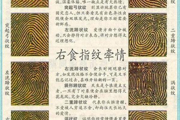 1994年出生者的性格特点与命运解析