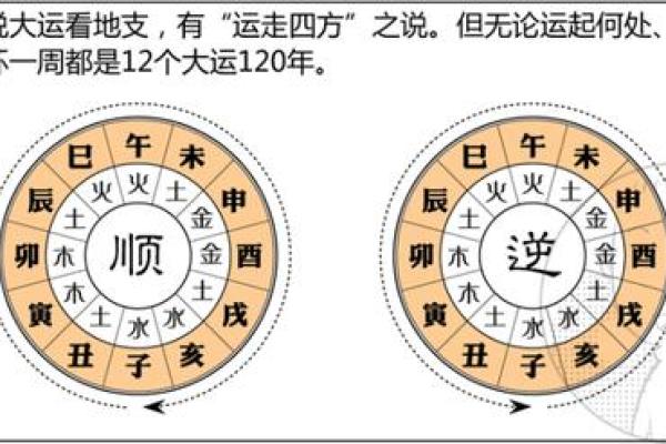 1988年木命的命理解析与人生指导