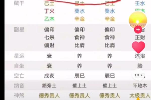 揭秘八字命理：女命中的食神象征及其深远影响