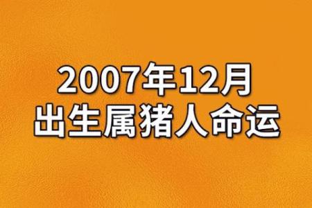 2020年属猪人的命运解析：生活、事业与情感的全面指引