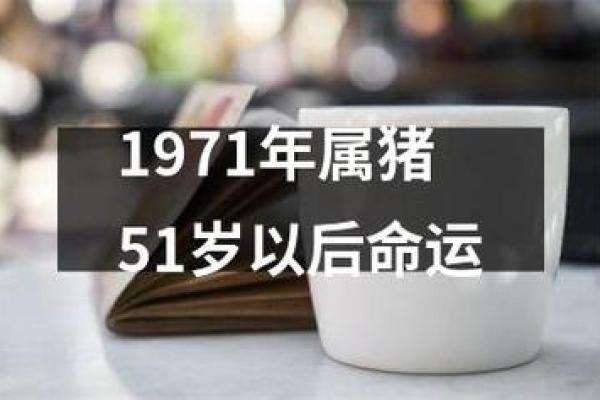 1972年属猪的男生命运解析：财富、婚姻与性格全方位剖析