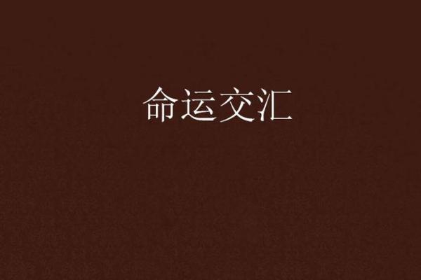 1991年冬月21日：命运的交汇与人生的启示