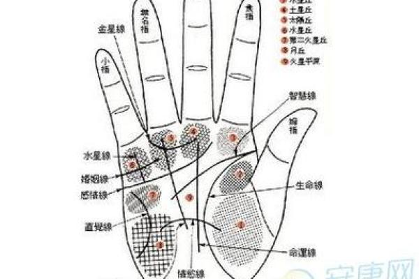 壬午年命运解析：生活中的注意事项与吉凶分辨