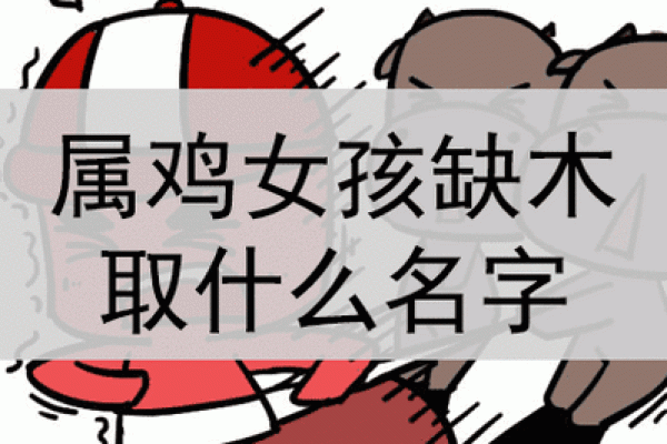 鸡宝宝的命理解析：揭示最适合的生辰与运势