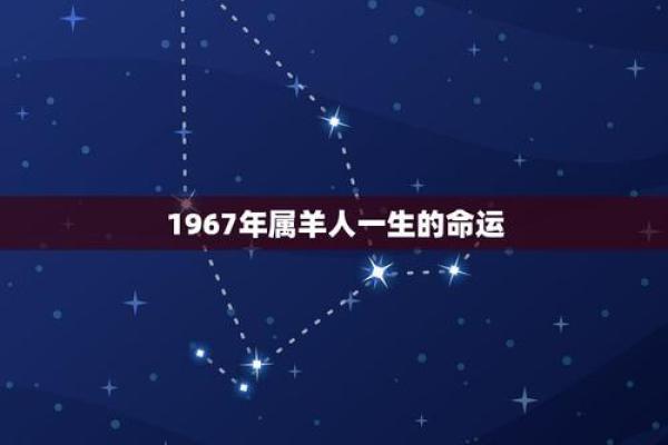 1994年男狗的命运解析：幸福与挑战并存的生活之路