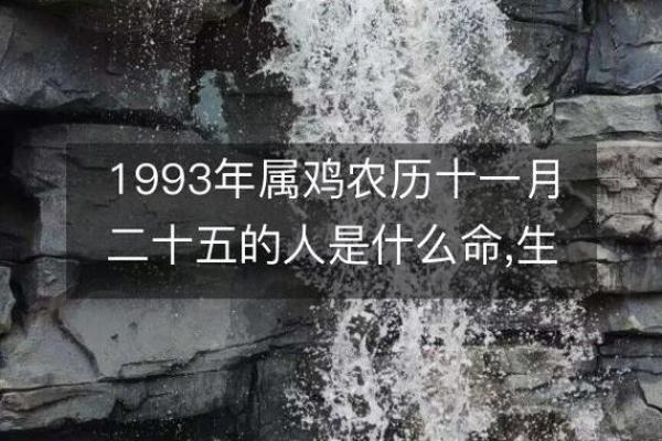 1993年的鸡命：探索生肖与生活的奇妙联系