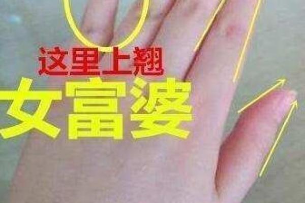 风水与命理：探究辣椒命的独特魅力与影响