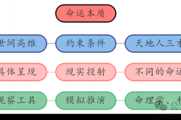 不信命的人，终将走向何方？探寻命运的真相与挑战