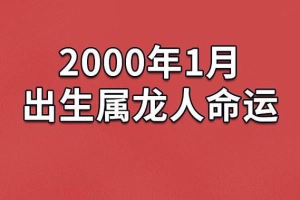 1995年属龙人的命运解析：生辰八字与未来运势的奥秘