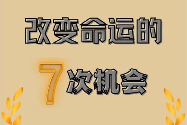 44年属狗人的命运解析：岁月流转中的智慧与温暖