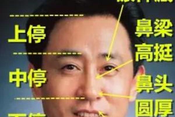 揭秘孤命面相特征：如何通过面相识别孤命之人