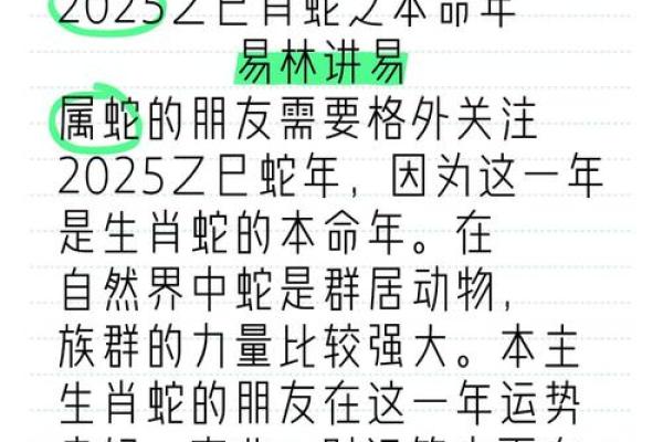 2023年生肖运势：不同命格的解读与指导