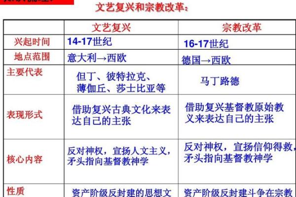 城墙土命的学习之路：探索适合的领域与发展方向