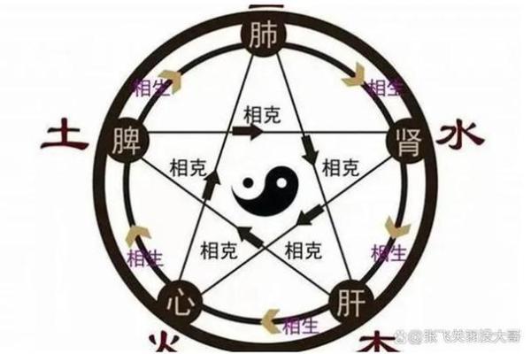 揭秘姓名中的奥秘：十二画名字与命运的深厚关联