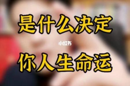 揭秘2019初九出生者命运：属于你的命理解析与人生指南