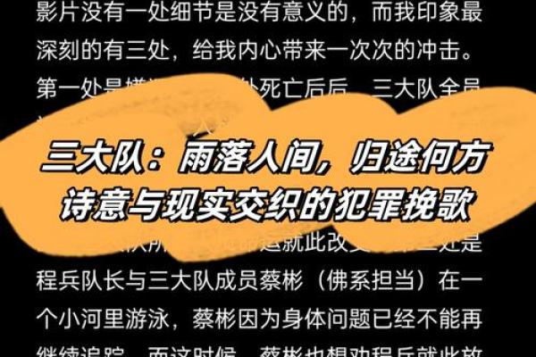 分离命不齐：探寻生活中的无常与命运的交织