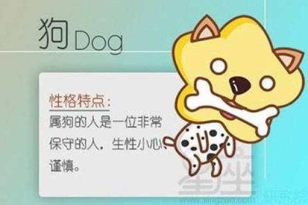 解读狗年出生者的命运与性格特点