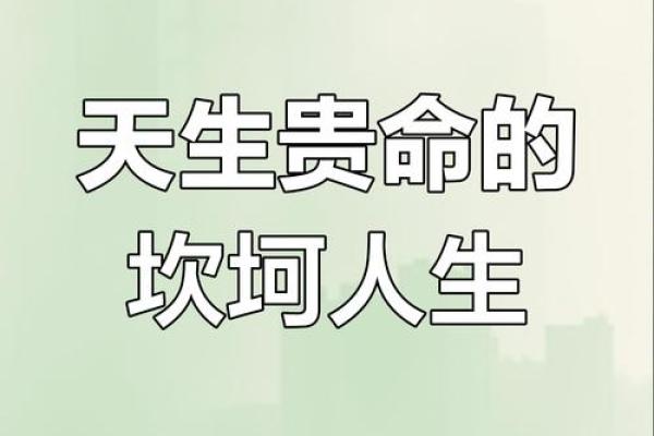 2017年50岁属什么命？探寻人生转折与命运的奥秘