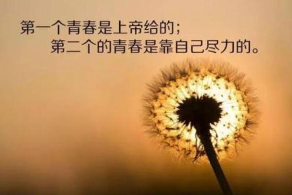 1995年属猪人的命运与性格分析：携福而生的温暖人生