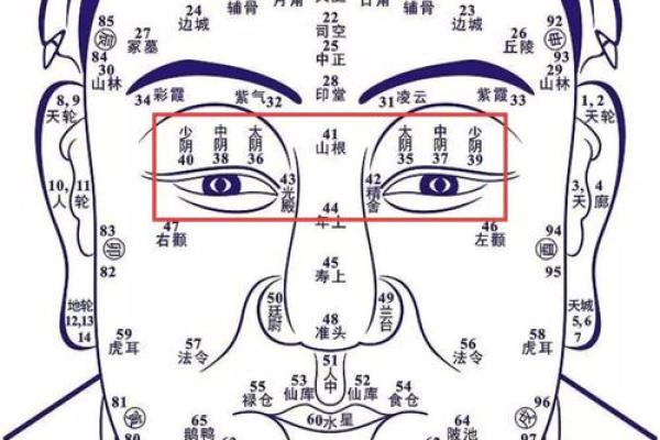 揭秘紫薇命女人的独特魅力与人生特征