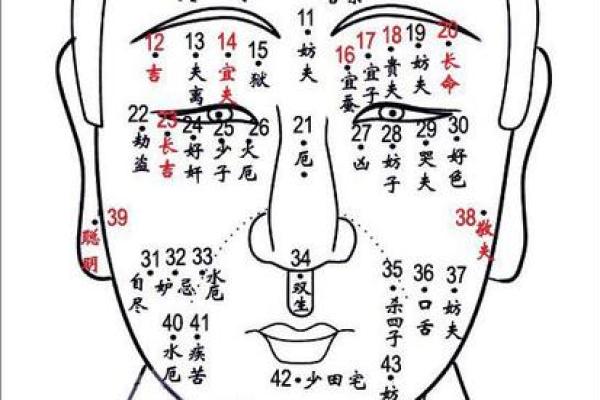 牙齿不齐，从相学角度看命运及其影响的深度解析