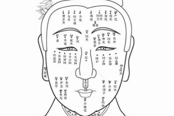 牙齿不齐，从相学角度看命运及其影响的深度解析