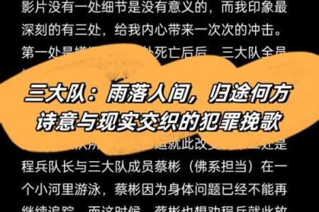 分离命不齐：探寻生活中的无常与命运的交织