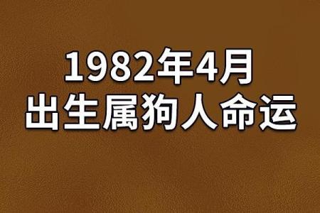 解读狗年出生者的命运与性格特点