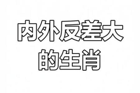 揭秘炉中火命生肖：探寻内心之火的力量与智慧