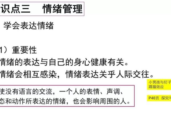 红豆的宝宝命理解析：揭开命运的神秘面纱