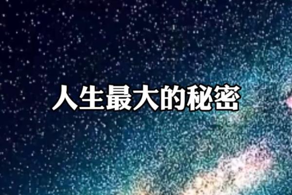 25岁老鼠的命运解析：揭示人生的秘密与启示