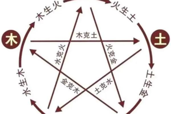 一九七三年五行缺失探秘：解密命理背后的玄机与人生启示