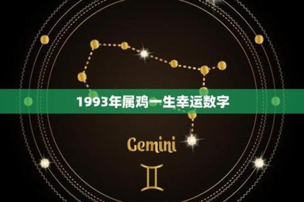 1993年鸡年出生男孩的命运解析与人生导向