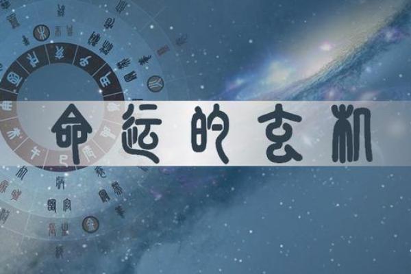 丁未日生人的命运与性格解析