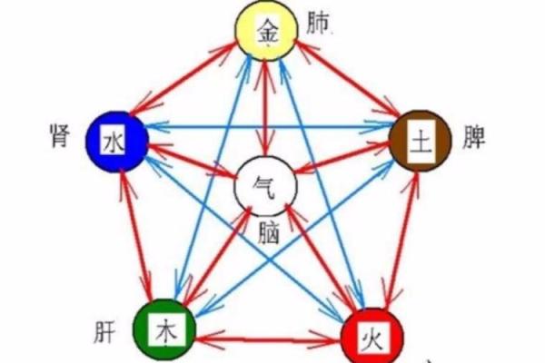 1993年水命知多少：解读水命人的独特魅力与人生轨迹