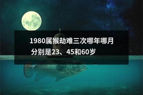 1980年属猴的命理解析：智慧与机遇的碰撞