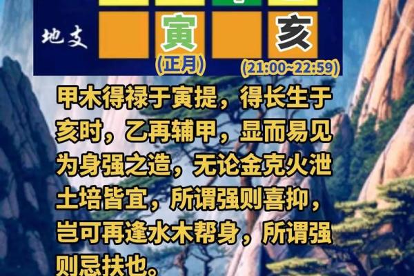 揭示乙亥19年命理密码：懂得命运，掌握人生！