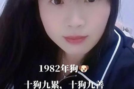 1982年属狗人的命运与性格解析：忠诚与勇气的象征